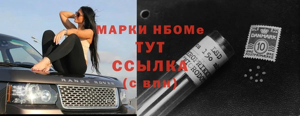 гидра Надым