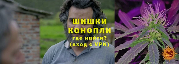 гидра Надым