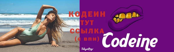 гидра Надым