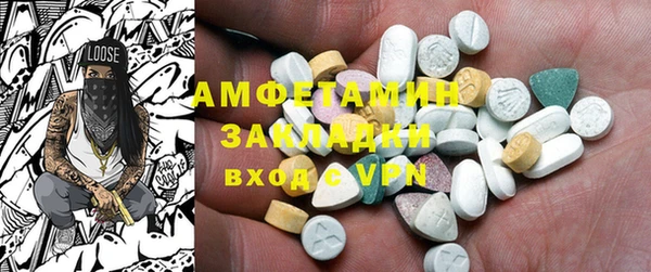 гидра Надым