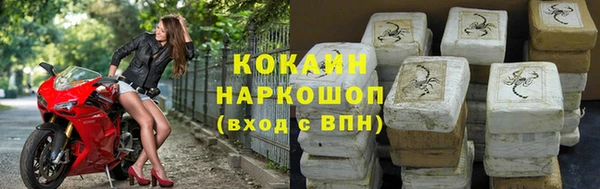 гидра Надым