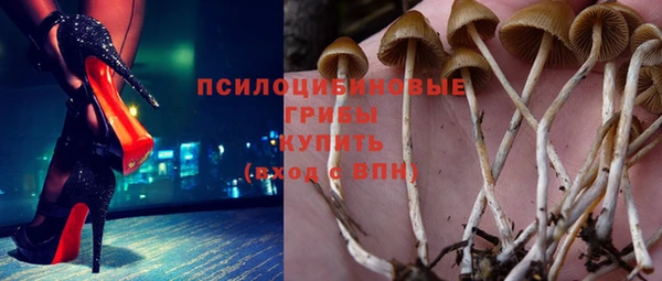 СК Навашино