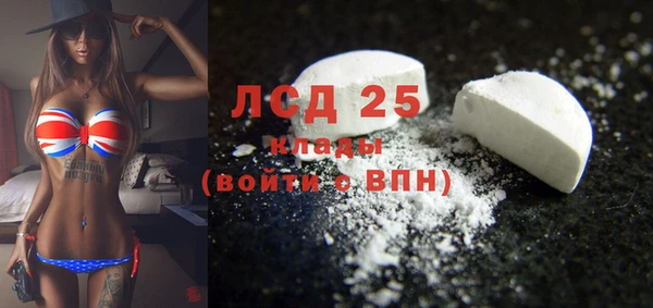 гидра Надым