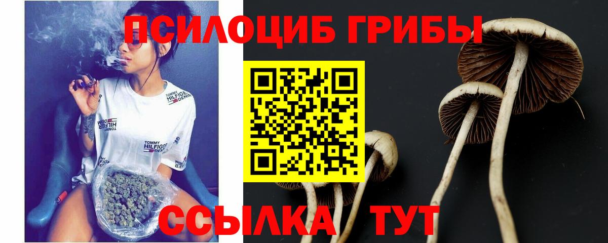 Галлюциногенные грибы Cubensis  Владивосток 