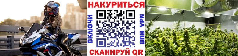 Марихуана MAZAR  нарко площадка официальный сайт  Владивосток  купить  цена 
