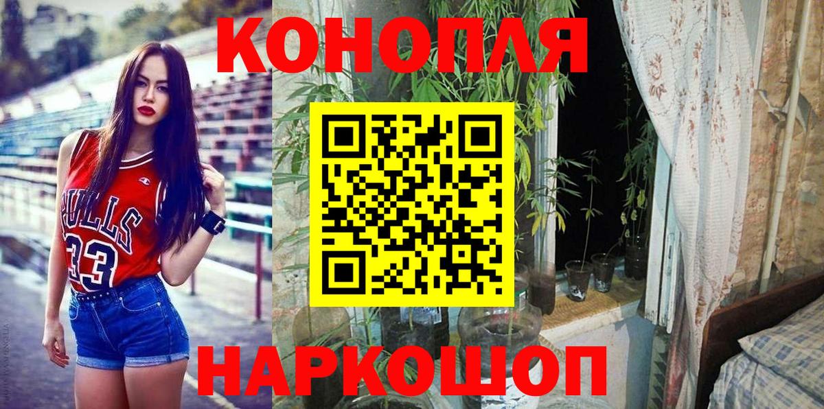 Бошки Шишки марихуана Владивосток